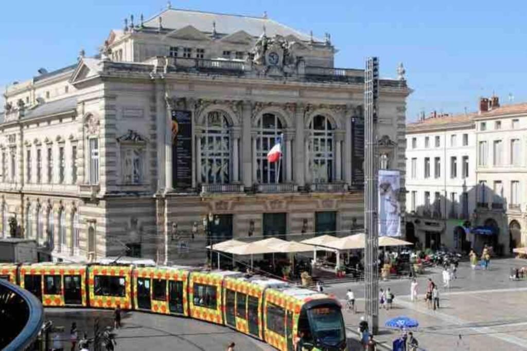 Superbe T2+Parking,Proche Centre Ville & Plages Apartment Монпелие Екстериор снимка
